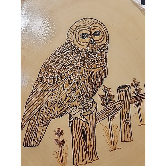 Hand Crafted Wood Burned Owl  Plaque Art Wall Hanger - Picture 3 of 4
